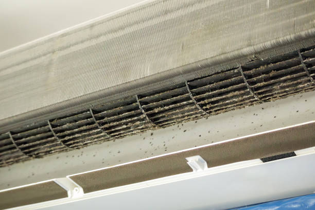 Best Professional Duct Cleaning Services  in Bridgeport, CT